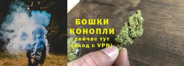 индика Магас