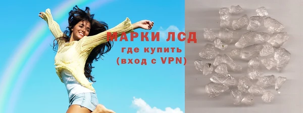 индика Магас