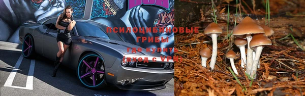 бутик Майский