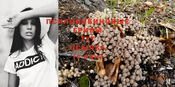 индика Магас