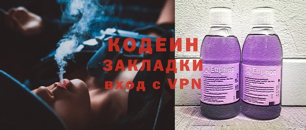 индика Магас