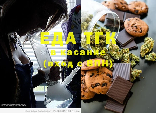 индика Магас