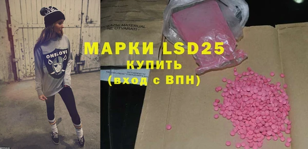 индика Магас